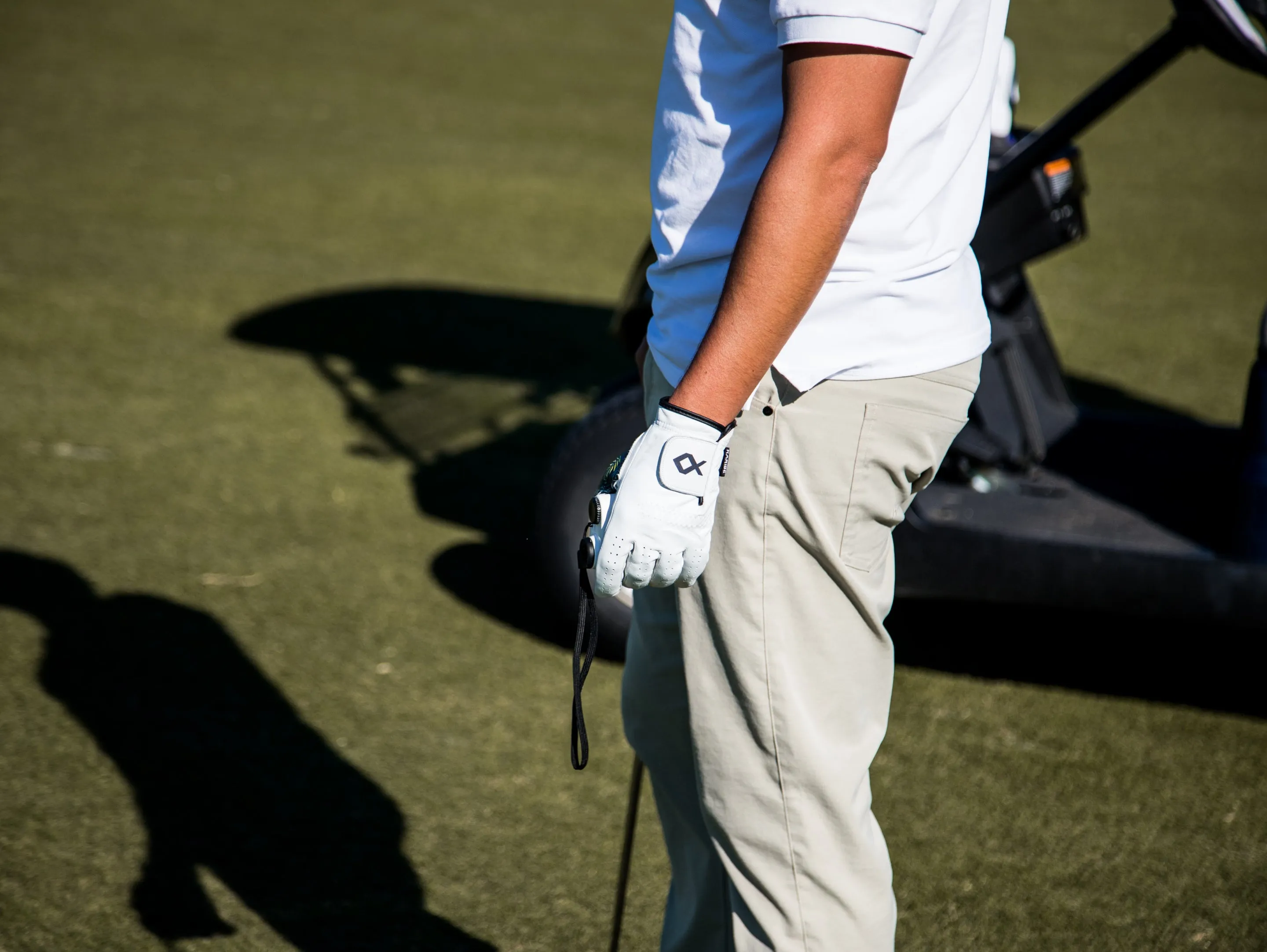 Black Palms - Cabretta golf glove