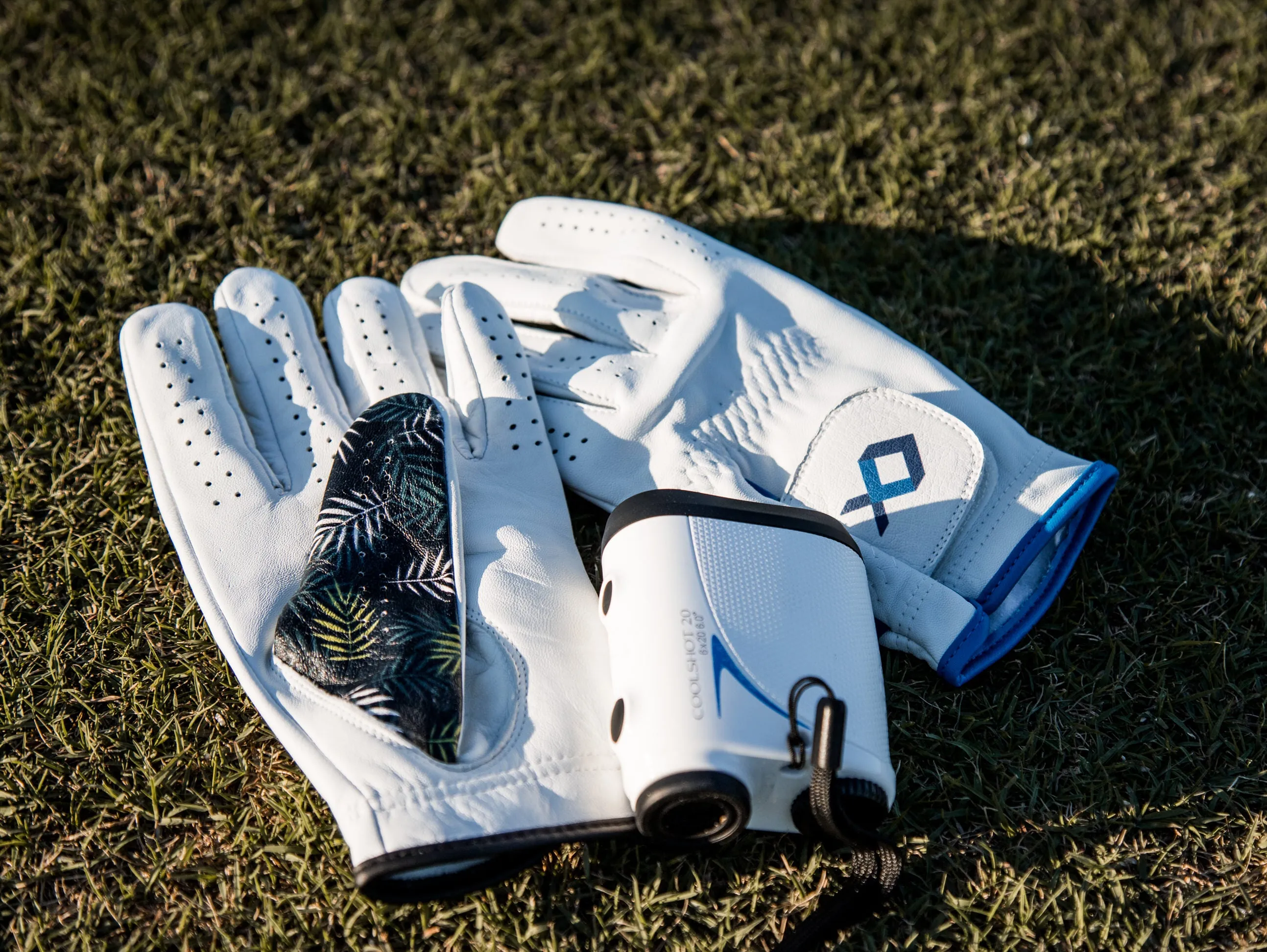 Black Palms - Cabretta golf glove