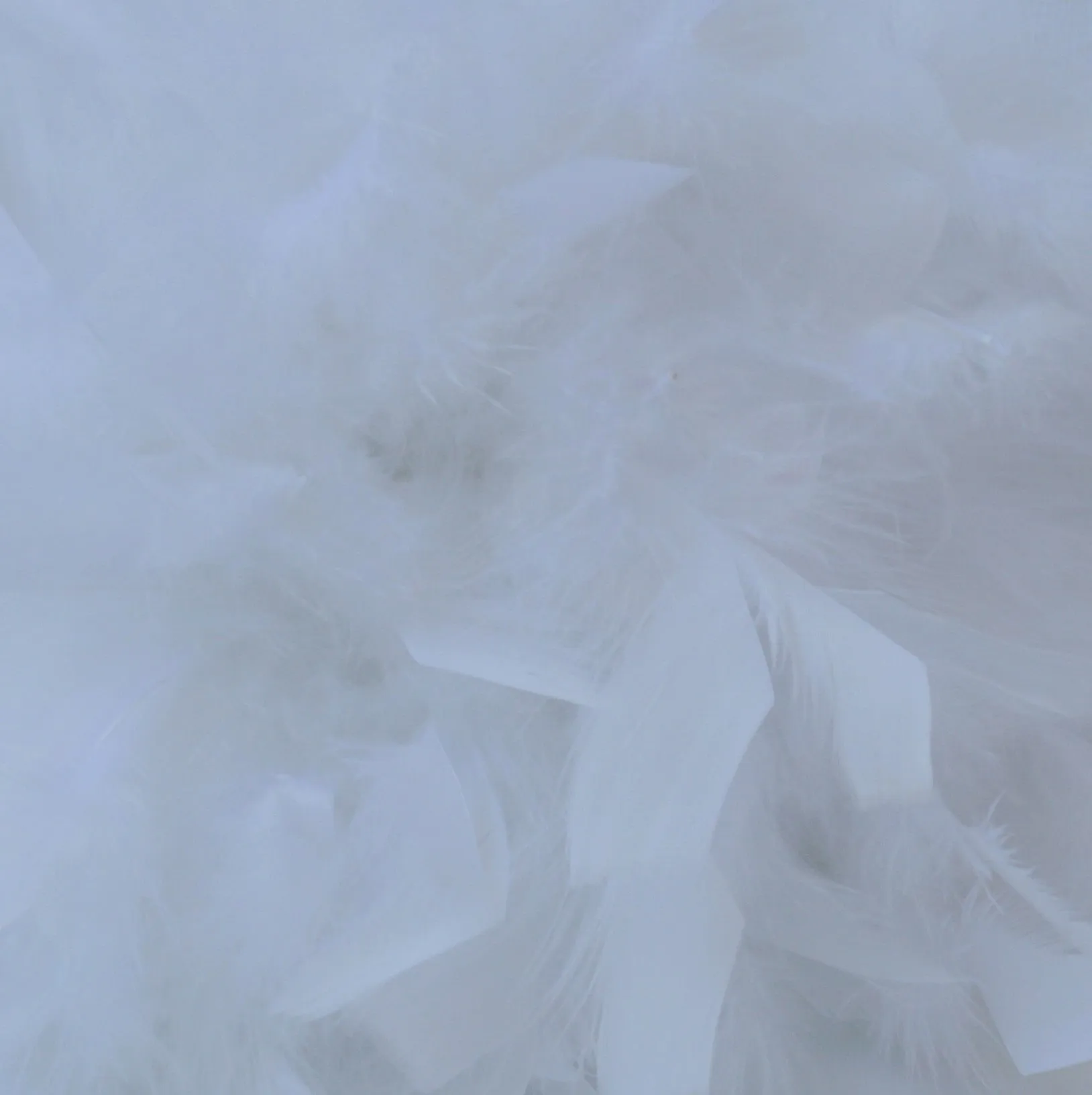 Chandelle Turkey Feather Boa