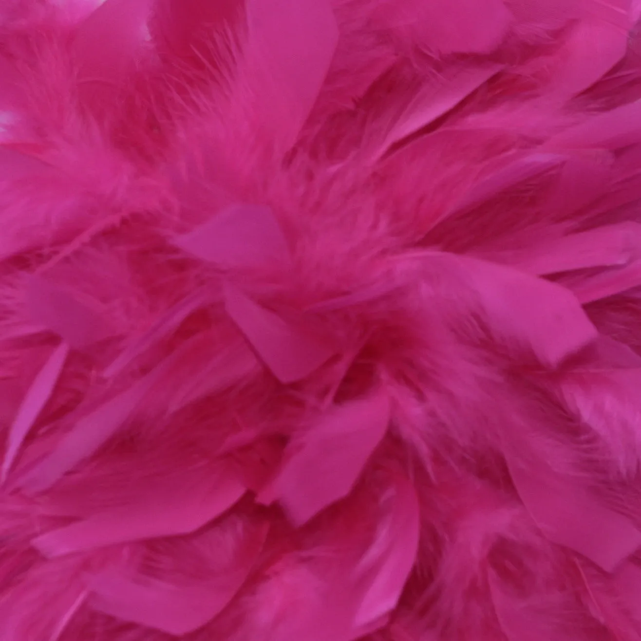 Chandelle Turkey Feather Boa