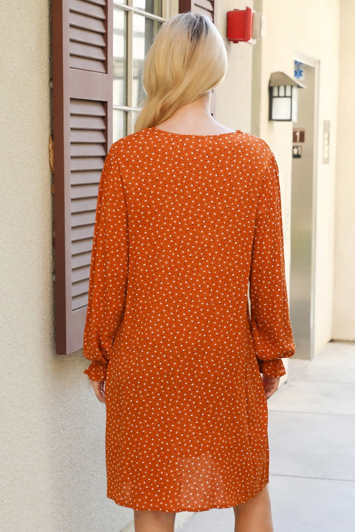 Collared Neckline Floral Long Sleeve Dress