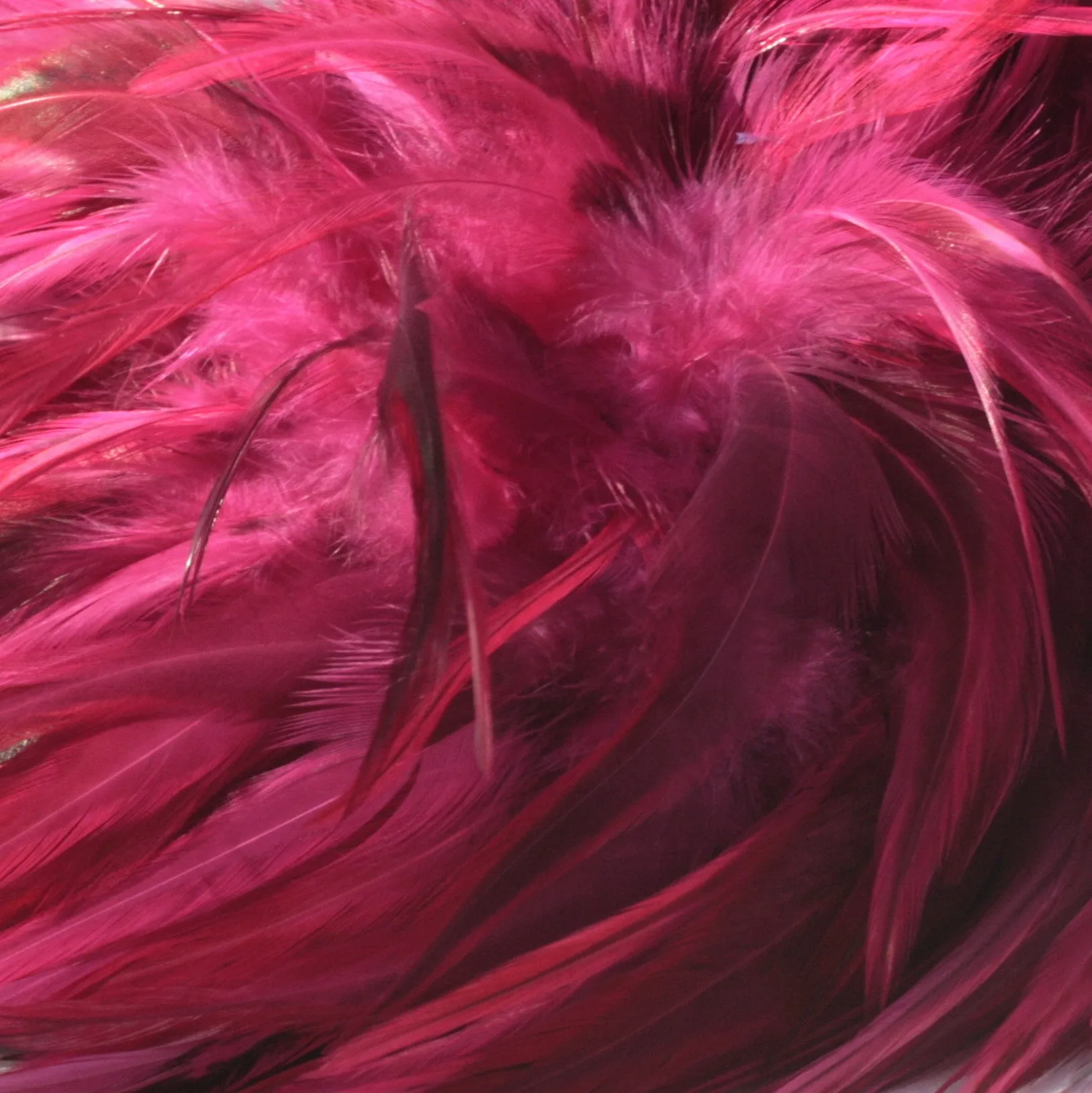 Rooster Feather Boa