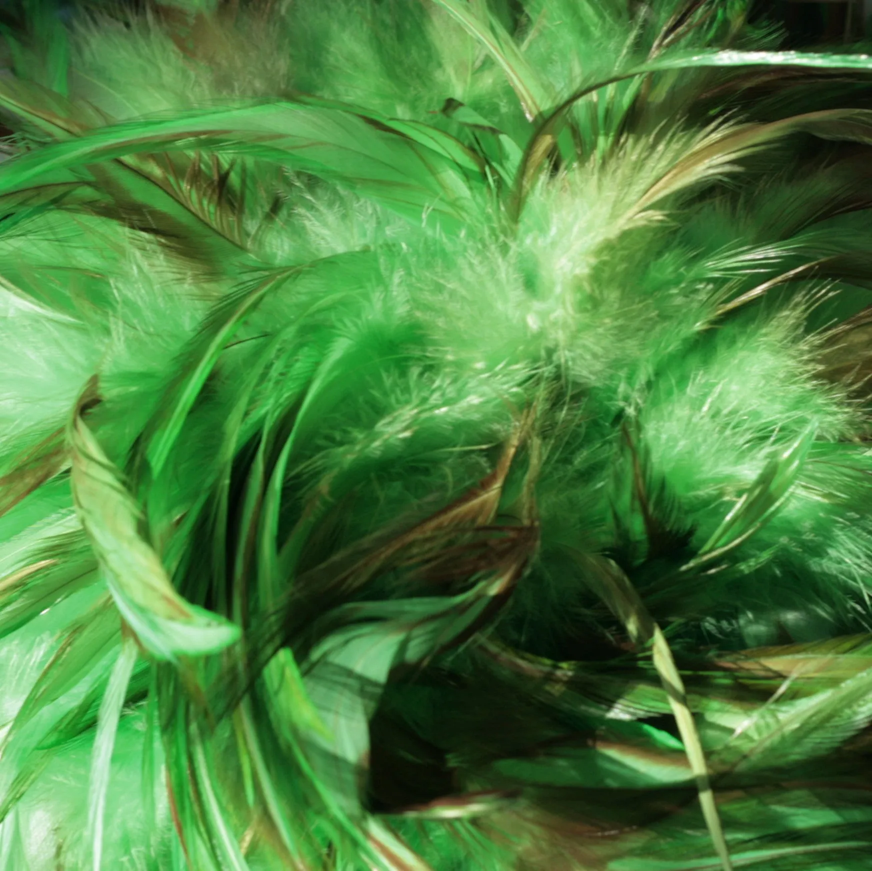 Rooster Feather Boa