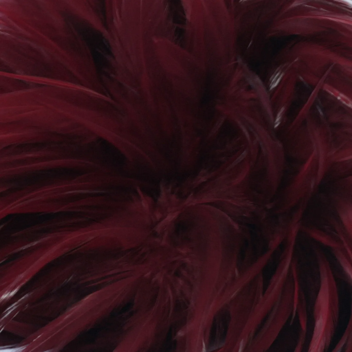 Rooster Feather Boa