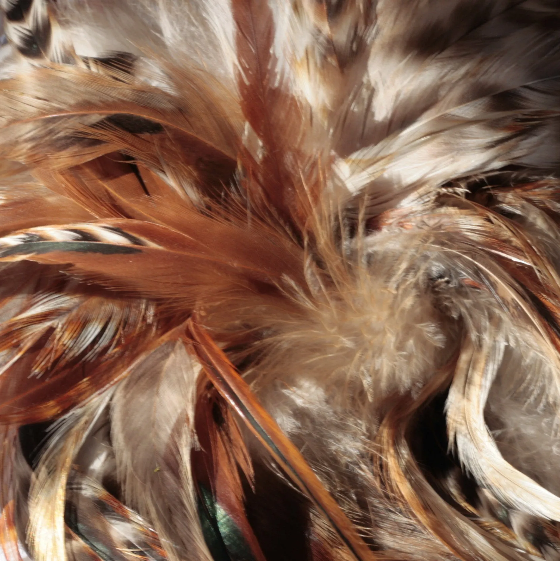 Rooster Feather Boa