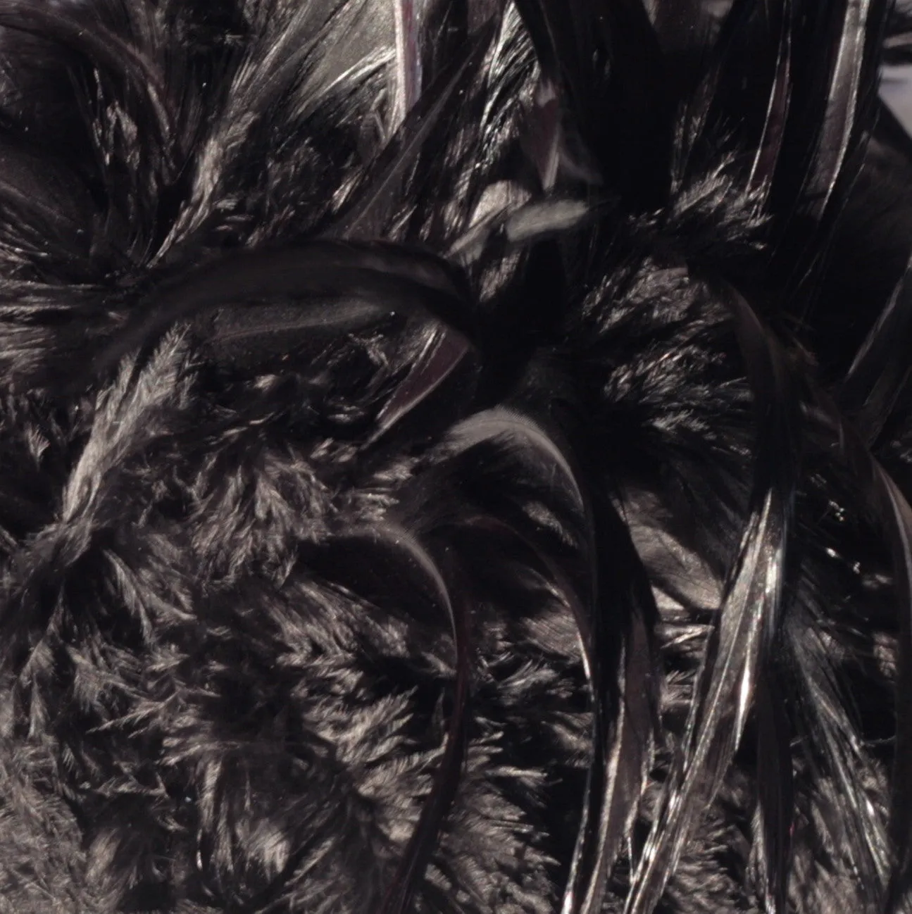 Rooster Feather Boa