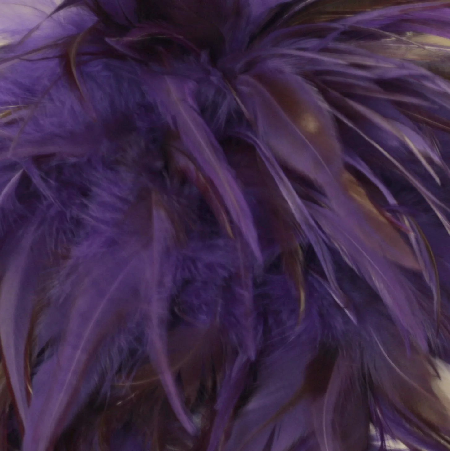 Rooster Feather Boa
