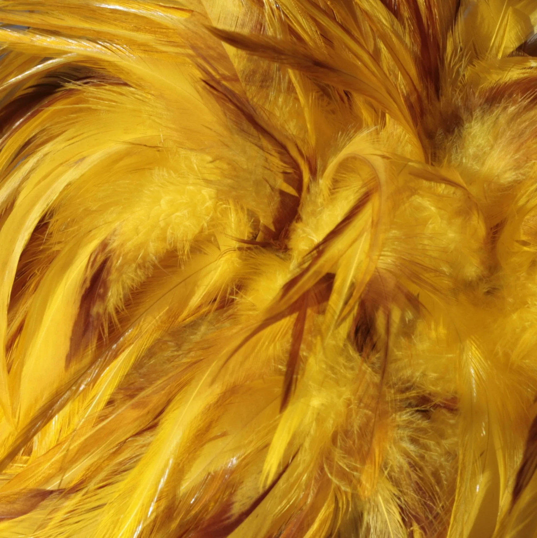 Rooster Feather Boa