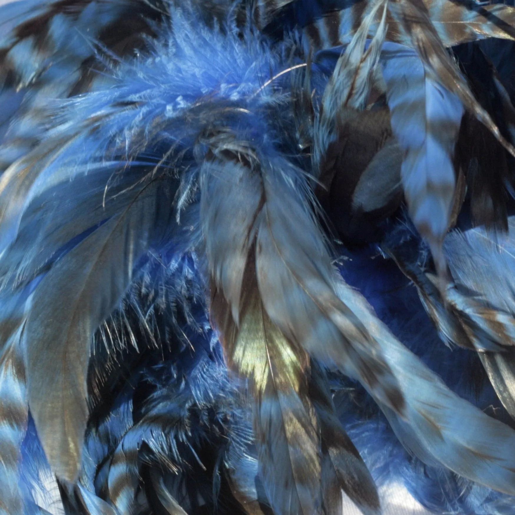 Rooster Feather Boa