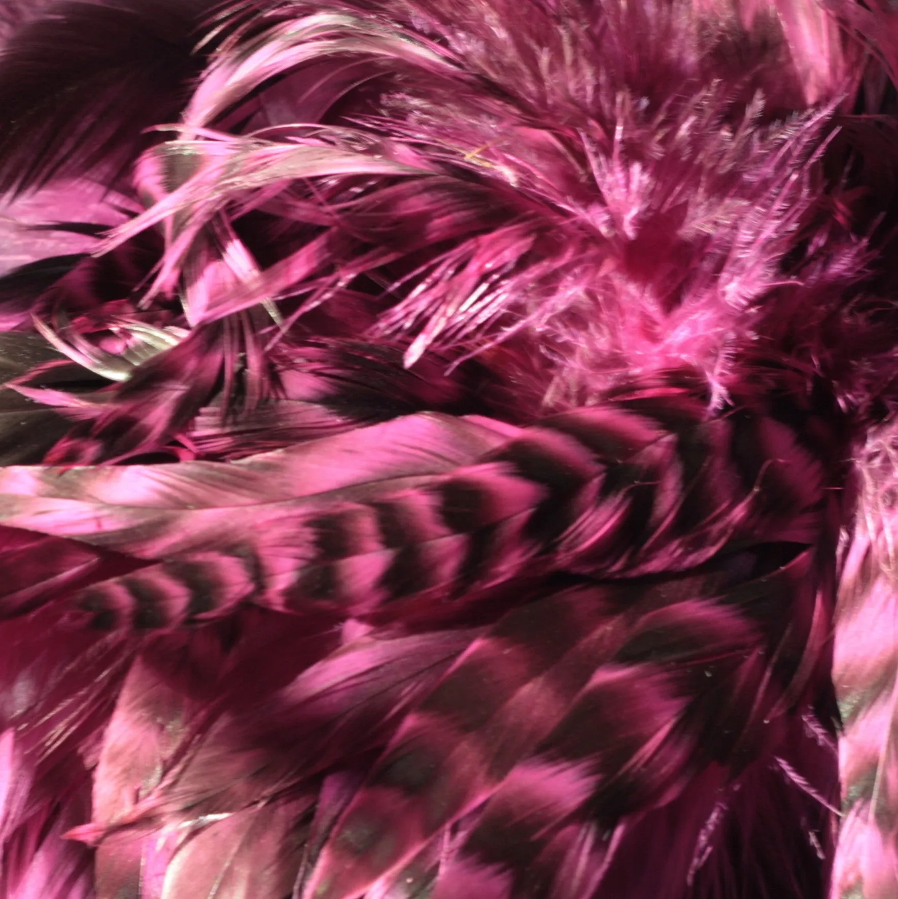 Rooster Feather Boa