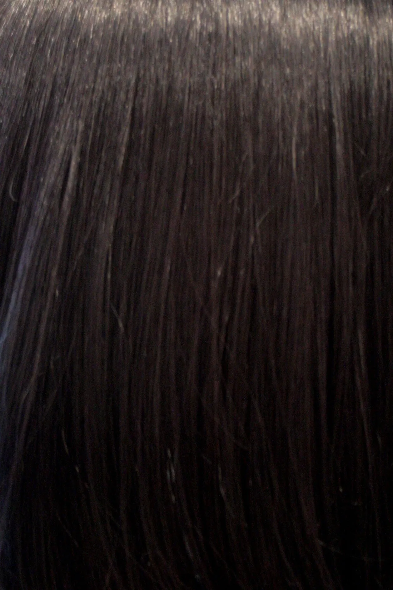 The 1920's Bob Wig